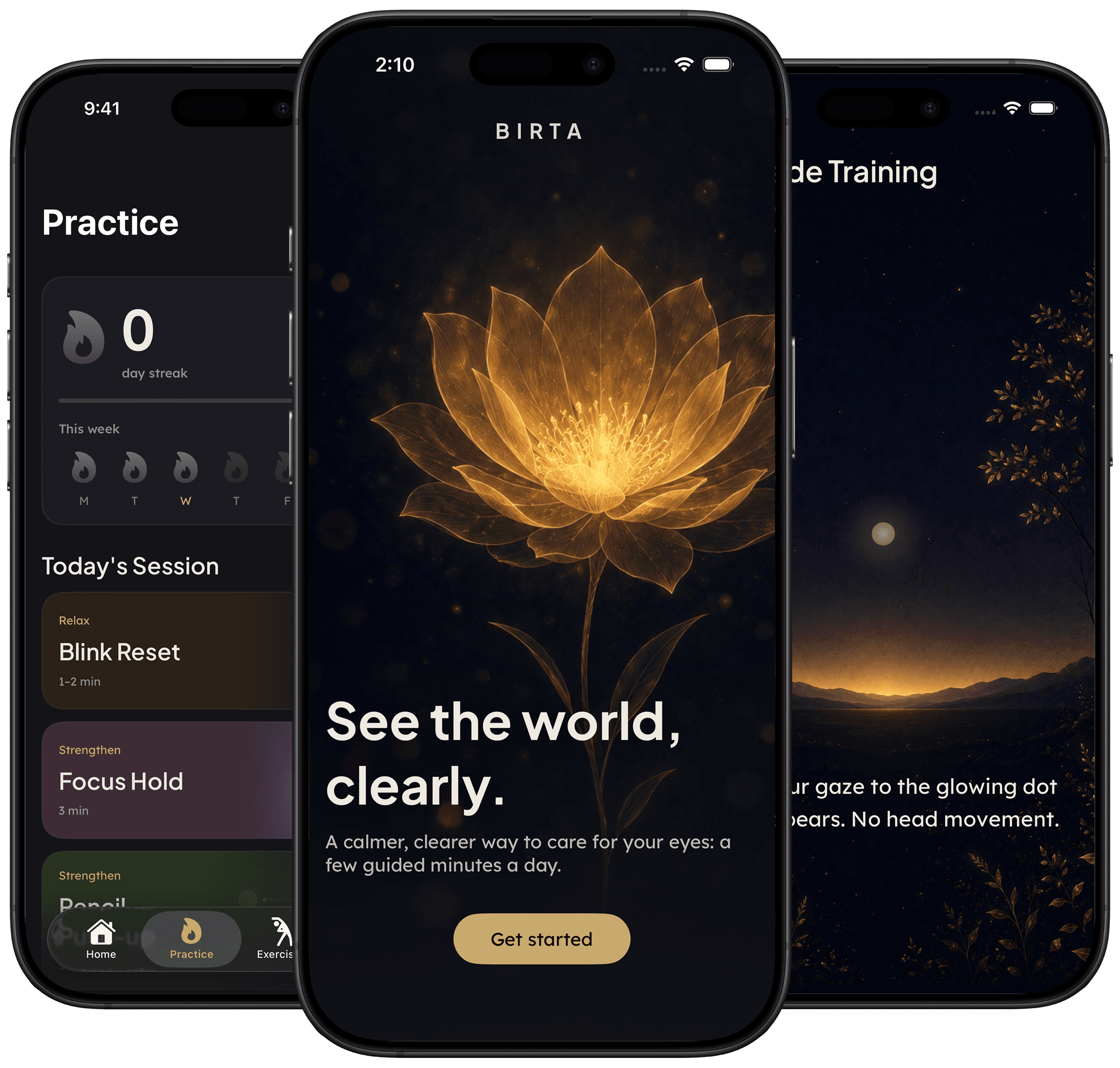 Birta app preview