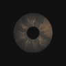 Birta icon
